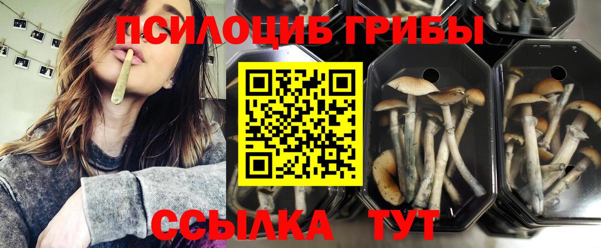 Псилоцибиновые грибы мухоморы Троицк