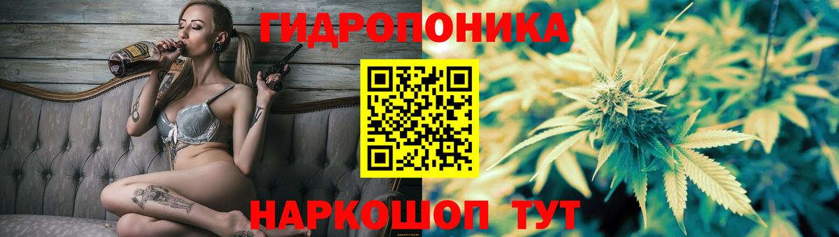 Бошки Шишки планчик Троицк